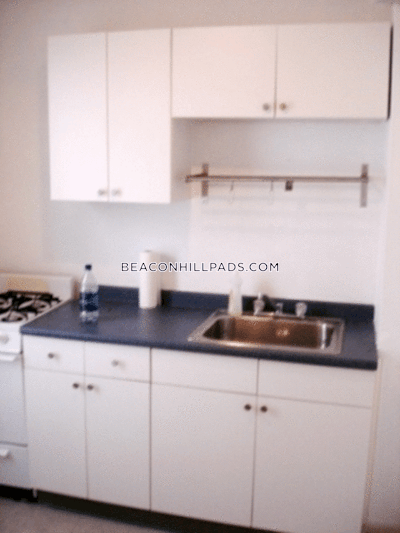 Beacon Hill Apartment for rent 1 Bedroom 1 Bath Boston - $2,250
