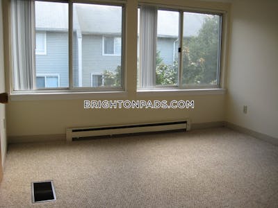 Brighton Apartment for rent 1 Bedroom 1 Bath Boston - $3,500