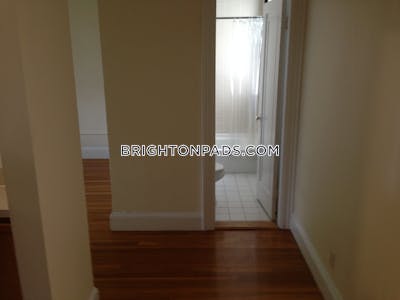 Brighton Apartment for rent 1 Bedroom 1 Bath Boston - $3,145 No Fee