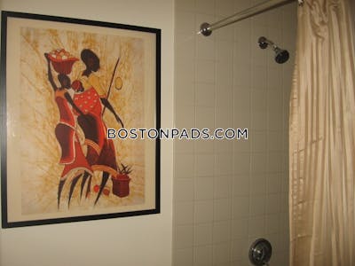 Downtown 1 Bed 1 Bath Boston - $3,000
