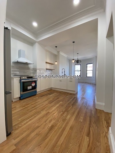 Fort Hill Contemporary Urban Oasis: Recently Renovated 3-Bed, 3-Bath Condo with Park Views in Fort Hill, Modern Amenities in Fort Hill Boston - $4,000