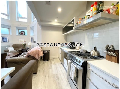 Dorchester/south Boston Border 4 Beds 3 Baths Boston - $4,950