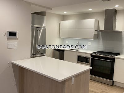 Dorchester/south Boston Border Apartment for rent 4 Bedrooms 2 Baths Boston - $4,800