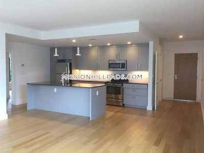 Mission Hill Apartment for rent 2 Bedrooms 1 Bath Boston - $5,826
