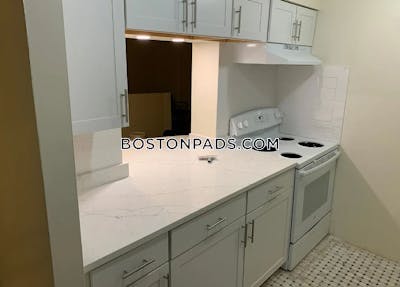 Northeastern/symphony Apartment for rent 3 Bedrooms 2 Baths Boston - $4,300