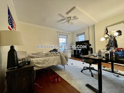 Brookline Apartment for rent 3 Bedrooms 1 Bath  Boston University - $4,650