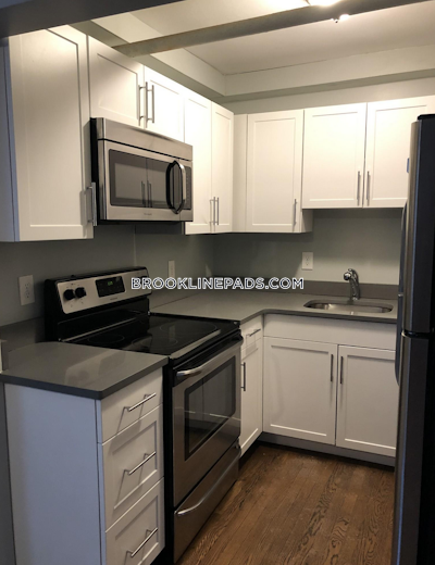 Brookline Apartment for rent 2 Bedrooms 1 Bath  Boston University - $3,350