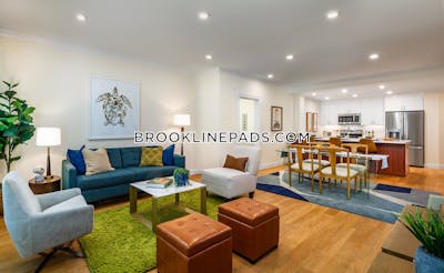 Brookline Apartment for rent 1 Bedroom 1 Bath  Chestnut Hill - $3,560 No Fee