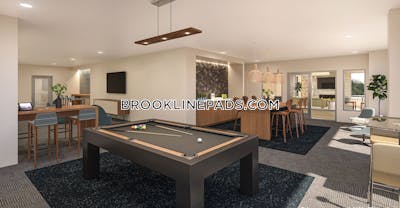 Brookline Apartment for rent 1 Bedroom 1 Bath  Chestnut Hill - $3,515 No Fee