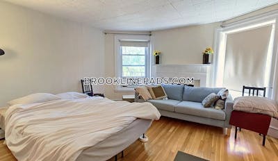 Brookline Apartment for rent Studio 1 Bath  Coolidge Corner - $1,895