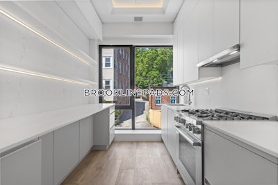 Brookline Apartment for rent 4 Bedrooms 4 Baths  Washington Square - $6,600 No Fee