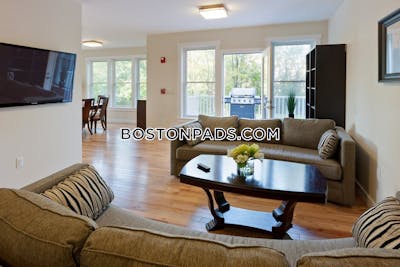 Cambridge 3 Beds 2 Baths  Mt. Auburn/brattle/ Fresh Pond - $5,250 No Fee