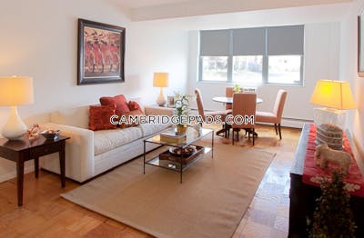 Cambridge Apartment for rent Studio 1 Bath  Porter Square - $2,560 No Fee