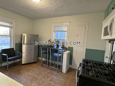 Roxbury Apartment for rent 2 Bedrooms 1 Bath Boston - $2,800