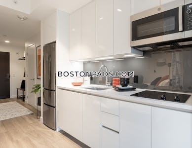 West End Studio  Luxury in BOSTON Boston - $3,155