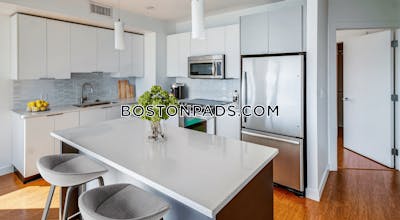 Downtown Studio  Luxury in BOSTON Boston - $3,853