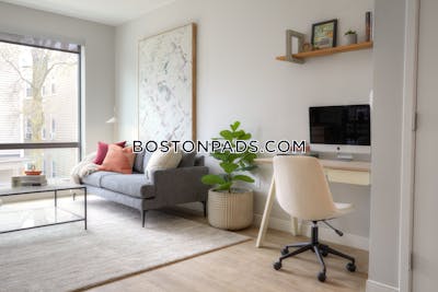 Dorchester 1 bedroom  Luxury in BOSTON Boston - $3,080