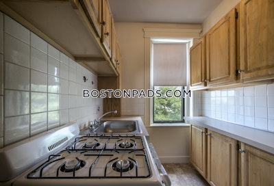 Allston Apartment for rent Studio 1 Bath Boston - $2,550