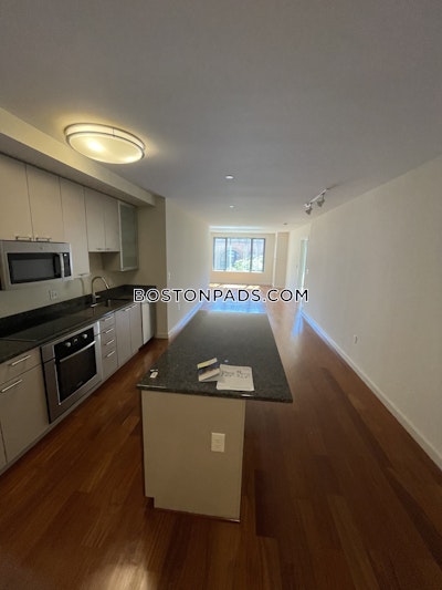 West End Apartment for rent 1 Bedroom 1 Bath Boston - $4,170