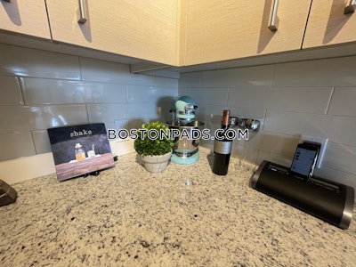 Chinatown Apartment for rent 1 Bedroom 1 Bath Boston - $3,449 No Fee