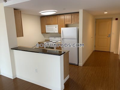 Dorchester Apartment for rent 2 Bedrooms 2 Baths Boston - $3,184 No Fee