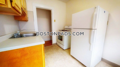 Brighton Apartment for rent 1 Bedroom 1 Bath Boston - $2,600