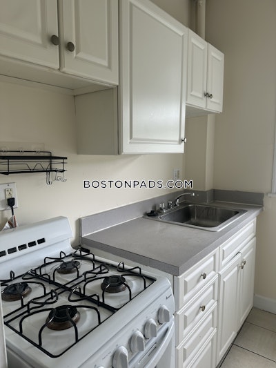 Allston Apartment for rent 1 Bedroom 1 Bath Boston - $2,650