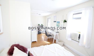 Brighton Apartment for rent 5 Bedrooms 3 Baths Boston - $9,500