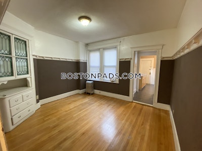 Allston/brighton Border Apartment for rent 3 Bedrooms 1 Bath Boston - $3,300